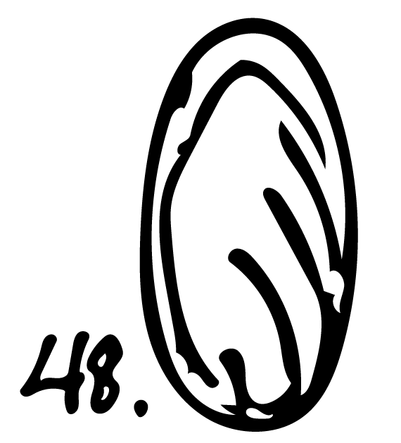 <strong>#48</strong> Beach stone, Crete, 2022