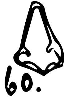 <strong>#60</strong> Bronze nose