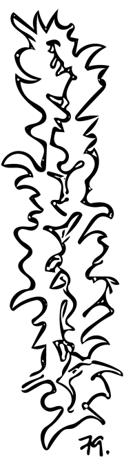 <strong>#79</strong> Test for a flame mirror, glass, 2011